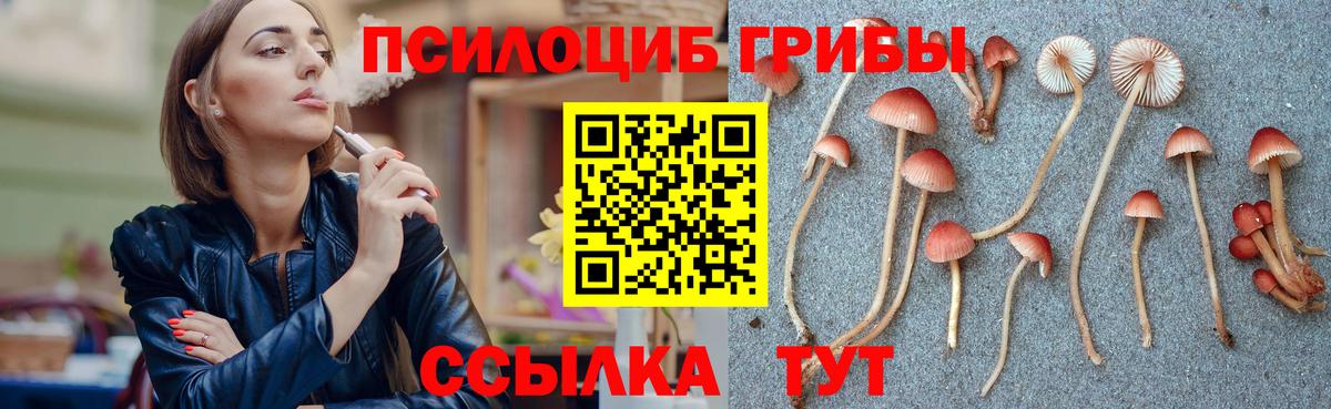 Миасс  где найти   Вход с VPN  Галлюциногенные грибы Cubensis 